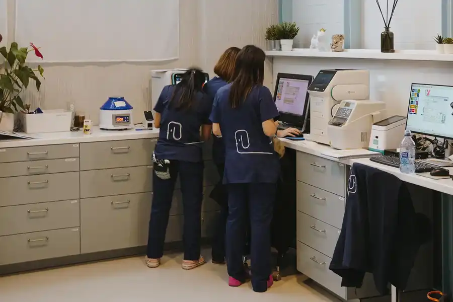 LABORATORIO copia.jpg