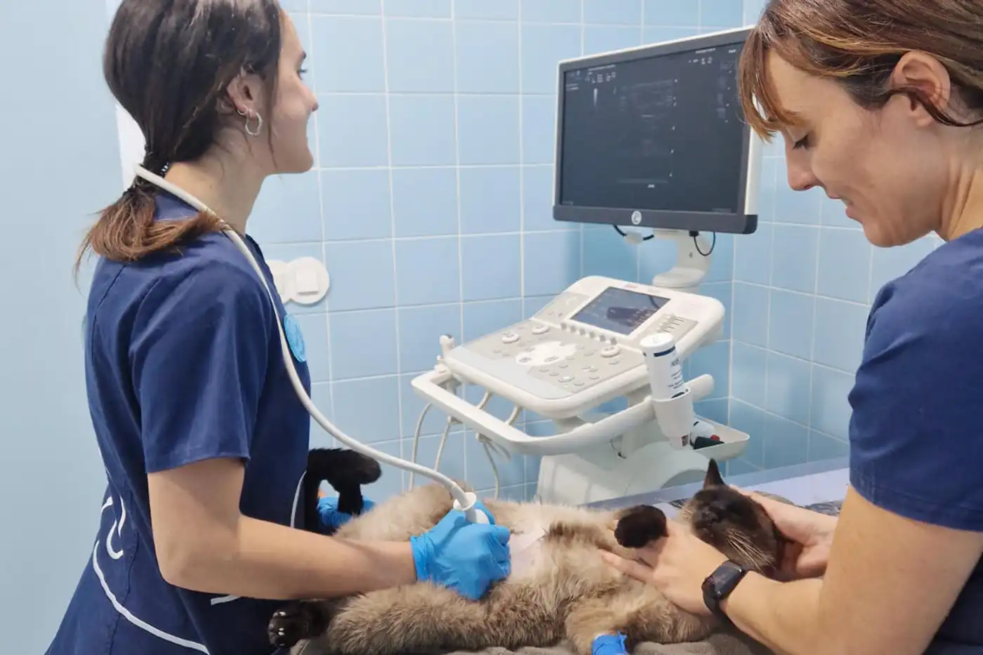 Diagnostico por imagen